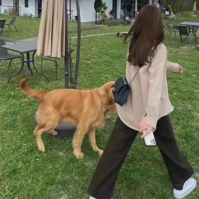 我的意外家庭封面